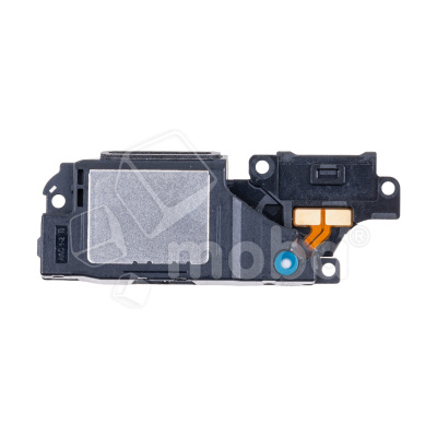 BUZ-HUW-NVA-Y91-CP_1