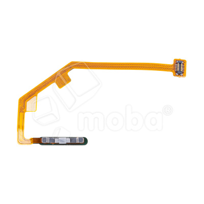 FPC-TCN-CMN-19-FP-B_1