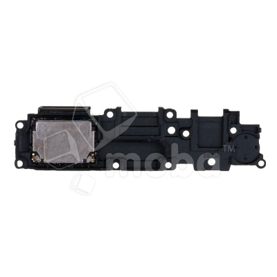 BUZ-REAL-C25-CP_1