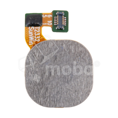 FPC-TCN-SPR-GO-2023-FP-LHT-BLU_1