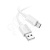 DTC-TPC-HCO-X107-W